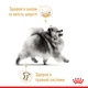 Сухий корм для дорослих собак породи Померанський шпіц ROYAL CANIN POMERANIAN ADULT 1,5 кг (1255015) - изображение 3