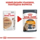 Вологий корм для&nbsp;дорослих котів ROYAL CANIN INTENSE BEAUTY IN GRAVY, для підтримання здоров’я шкіри та краси шерсті, 85 г - изображение 3