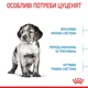 Корм для цуценят середніх порід ROYAL CANIN MEDIUM PUPPY 4,0 кг (30030400) - изображение 4