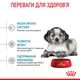 Корм для цуценят середніх порід ROYAL CANIN MEDIUM PUPPY 4,0 кг (30030400) - изображение 5