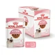 Вологий корм для котят ROYAL CANIN KITTEN IN GRAVY 85 г x 12 шт. - зображення 2