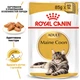 Влажный корм Royal Canin Maine Coon для взрослых котов породы мейн-кун 85 г (арт 2031001) - изображение 2