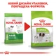 Сухий корм для дорослих собак дрібних порід ROYAL CANIN XSMALL ADULT - 1,5 кг - изображение 7