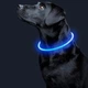 Светодиодный LED ошейник Lesko L-18 Blue M USB для собак и котов светящийся водоотталкивающий - изображение 2