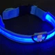 Світлодіодний LED нашийник Lesko Blue S USB, що світиться для собак і котів - зображення 5