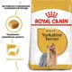 Корм Royal Canin Yorkshire Terrier Adult набор корма для собак йоркширский терьер 1,5 кг+ 4 паучи - изображение 2