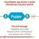 Корм Royal Canin Chihuahua Puppy домашня птиця набір корму для цуценят 1,5 кг + 4 паучі - зображення 2