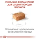 Корм Royal Canin Chihuahua Puppy домашня птиця набір корму для цуценят 1,5 кг + 4 паучі - зображення 5
