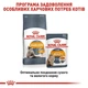 Корм Royal Canin Hair Skin Care с проблемной шерстью набор корму для кошек 2 кг + 4 паучи - изображение 6