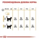 Корм Royal Canin Hair Skin Care с проблемной шерстью набор корму для кошек 2 кг + 4 паучи - изображение 7