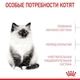 Корм Royal Canin Kitten для котят на каждый день (до 12 месяцев) набор корму 2 кг + 4 паучи - изображение 4