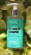 Шампунь Top beauty Scalp Scaling Shampoo Mint & Lime для глубокой очистки кожи головы Мята-Лайм 250 мл - изображение 2