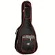 Чехол классической гитары MusicBag FS GW-CG39-AR (с утеплителем 18 мм) - изображение 1