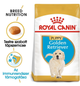 Сухий корм для собак із надмірною вагою Royal Canin Golden Retriever Puppy 1 кг (3182550751247) - зображення 2