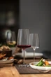 Набор бокалов для красного вина Fruity & Delicate Zwiesel Glas Vivid Senses 535 мл 2 шт 122427 - изображение 4