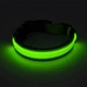 Світлодіодний LED нашийник Lesko Green XS USB для собак і котів світиться - зображення 2