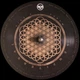 Bring Me The Horizon - Sempiternal (Альбом) - изображение 5