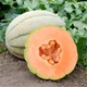 Насіння Диня Hales Best Jumbo, 1 г (НК Еліт) - зображення 4