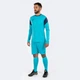 Вратарская форма Joma PHOENIX бирюзовый M 102858.013 M - изображение 2