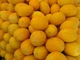 Насіння Диня Jaune Canari, 1 г (НК Еліт) - зображення 3