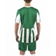 Футболка Joma COPA зеленый,белый XS 100001.450 XS - изображение 3