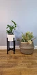 Подставка под вазон из натурального дерева черного цвета WoodDecor низкая - изображение 1