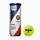 Мячи теннисные для грунта Wilson Roland Garros Clay CT 3 BALL WRT125000 - изображение 1