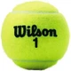 Тенісні м'ячі Wilson Championship XD 3 BALL WRT100101 - зображення 4