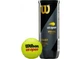 Тенісні м'ячі Wilson US Open XD 3 BALL WRT106200 - зображення 2