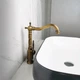 Смеситель для кухни Epelli Retro Bronze Antico бронзовый - изображение 7