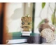 Конструктор LEGO Brick Headz Горшковий Грут (40671) - изображение 3