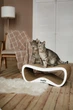 Кігтеточка (дряпка) - лежанка для котів Say Meow Grace Max 67 х 27 х 35 см (8040190105002) - зображення 3