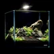 Аквариумный набор для рыб AquaLighter Nano Set 10 л пресноводный наноаквариум Optiwhite 22×22×22 см стеклянный прозрачный/черный арт. 7142 - изображение 6
