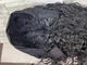 Парик женский волнистый черный с повязкой 60см афро (7237) - изображение 4