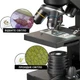 Микроскоп National Geographic 40x-1280x с адаптером к смартфону (9039001) - изображение 4