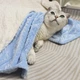 Плед для тварин Soft Warm Fluffy Pet Blanket 70х100 см Зелений - зображення 7