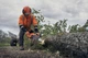 Бензопила Husqvarna 540XP III (9705181-14) - изображение 3