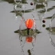 Маркерный поплавок Gardner «Seeker Marker Float» - изображение 2