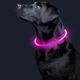 Світлодіодний нашийник Lesko L-18 Pink L LED USB світиться водовідштовхувальний для собак і котів - зображення 2