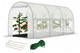 Садова теплиця з вікнами FunFit Garden 10m2 = 400*250*200 (1560) - зображення 1