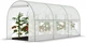 Садова теплиця з вікнами FunFit Garden 10m2 = 400*250*200 (1560) - зображення 7