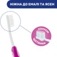 Зубна щітка Chicco 3-6 років Малинова (09079.10.20) (2900990799862) - зображення 4
