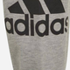 Spodnie dresowe młodzieżowe chłopięce Adidas B Bl Ft C Pt GN4016 140 cm Szare (4064036023095) - obraz 4