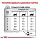Сухой корм для кошек Royal Canin Anallergenic Cat 4 кг - изображение 3