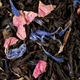 Черный чай ароматизированный Dammann 275-Coquelicot Gourmand (Кокліко Гурме),банка 80г. - изображение 2