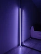 Торшер RGB напольный 100 см высота с пультом светодиодный led светильник белый в спальню торшеры led в гостиную (TOR-100) - изображение 2