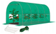 Садовая теплица с окнами FunFit Garden 9m2 = 450х200х200 см (Зеленая) (1558) - изображение 1