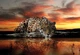 Флизелиновые фотообои природа животные Кошки Ягуар 254 x 184 см 3D Отражение леопарда в воде (126V4)+клей - изображение 2