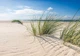 Флизелиновые фотошпалери 3D Вид на піщані дюни Трава на морському пляжі (13049V)+клей - зображення 2
