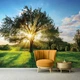 Флизелиновые фотообои 3D Ландшафт Поляна Солнечные лучи сквозь крону дерева (13015V)+клей - изображение 7